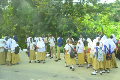 DSC_7729 (Large).JPG